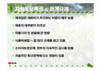 [광고판매촉진] 농심 광고기획-6