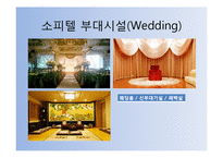 [호텔경영론] 노보텔 소피텔-14