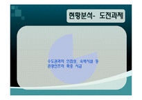 함평나비축제 국제경쟁력 강화-6