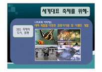 함평나비축제 국제경쟁력 강화-15