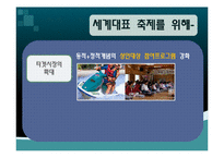 함평나비축제 국제경쟁력 강화-18