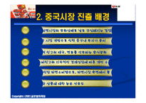 [국제마케팅] 농심 신라면 중국시장 마케팅 전략-5