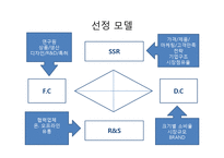 다이아몬드 모델(Diamond Model) 분석 -엑스캔버스 LG(XCANVAS), 파브 삼성(PAVV)-5