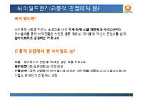 [유통관리] 싸이월드 유통전략 성공,실패 CASE 개발-4