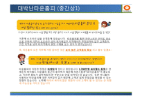 [유통관리] 싸이월드 유통전략 성공,실패 CASE 개발-10