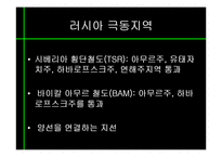 [동북아경제] 동북아 물류체계 현황과 발전방향-8