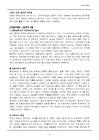 [경영학] 베트남으로의 사업진출 -오토바이 튜닝, 헬멧-3