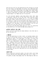관광의 사회 문화적 영향-3
