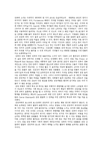관광의 사회 문화적 영향-9