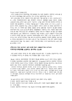 관광의 사회 문화적 영향-11