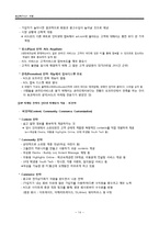 [통신비즈니스 모델] 경영전략 실패와 시장변화에 대처하지 못한 PC통신의 쇠퇴-14
