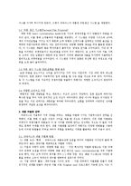 [경영전략] 리바이스 저 원가전략-5