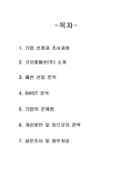 [경영] 코오롱패션(주) 경영전략-2