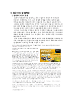 아르헨티나의 에너지현황과 정책-19