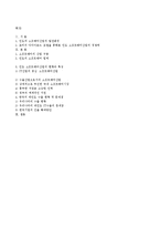 인도의 소프웨어산업-20