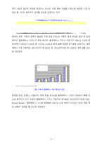 [마케팅] 내비게이션 아이나비 마케팅전략-5