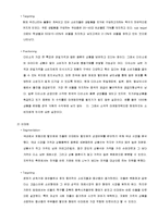 다이소 마케팅조사-9