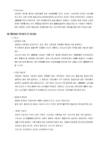 다이소 마케팅조사-10