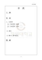 [사회과학] 샨샤댐-황사 한중 대처방안-2