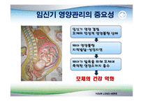[식품영양학(생애주기 영양학)] 임신기 영양관리 ppt자료(임산부 영양관리)-4
