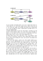 [시장조사] [시장조사론]국내 광고산업 분석 및 향후전망(A+리포트)-10