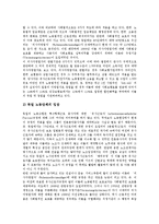 [특수고용노동자] 특수고용노동자의 개념, 특징, 의의와 특수고용노동자의 실태, 특수고용노동자의 문제점 및 외국의 특수고용노동자 사례를 통해 본 특수고용노동자 관련 제언 분석-17