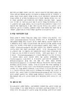 [특수고용노동자] 특수고용노동자의 개념, 특징, 의의와 특수고용노동자의 실태, 특수고용노동자의 문제점 및 외국의 특수고용노동자 사례를 통해 본 특수고용노동자 관련 제언 분석-18