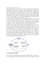 [사회복지] 장애인 소득보장정책의 현황과 쟁점0k-3