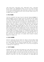 [기모노] 기모노에 대한 상식, 기모노의 개념, 기모노의 역사, 기모노의 기본 형태, 기모노의 종류, 기모노와 오비 심층 분석-5