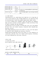 [정보통신] 원격검침 시스템의 개발 및 시장동향 분석-11