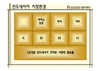 [국제마케팅] ㈜대상그룹 `미원`의 인도네시아 진출 성공기-12