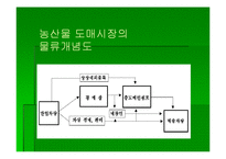 [식품유통] 농산물 도매시장 물류체계 개선 방향-7