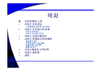 [서비스 마케팅] 유럽 초저가 항공시장의 리더 라이언 에어(Ryan air)-2