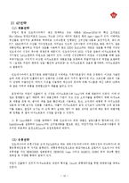 [국제마케팅] 미원의 인도네시아 해외진출 전략에 관한 연구-10