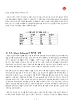 [국제마케팅] 미원의 인도네시아 해외진출 전략에 관한 연구-13