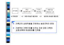 [가족상담] 구조주의 가족치료-7
