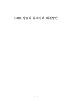[매스컴] DMB 방송의 문제점과 해결방안-1