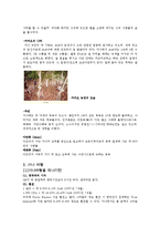 [외식문화] 아프리카의 가나 분석-5