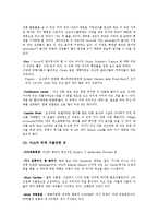 [외식문화] 아프리카의 가나 분석-8