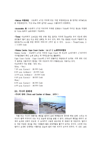 [외식문화] 아프리카의 가나 분석-9
