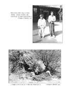 제주 4,3사건과 인류학적 재해석-6