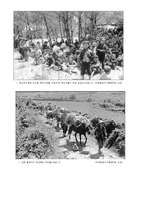 제주 4,3사건과 인류학적 재해석-7
