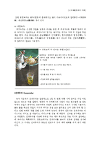 모로코 차문화 레포트-8
