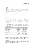 모로코 차문화 레포트-9