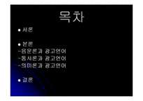 [한국어학] 광고 속 언어유희의 언어학적 접근 -TV광고(CF)의 언어 중심-2