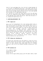 [도메인네임, 도메인분쟁] 다양한 도메인네임(도메인)분쟁 사례를 통해 본 도메인네임(도메인)의 정의와 도메인네임(도메인)의 관리체계, 관련 기구 및 도메인네임(도메인)분쟁의 해결책, 대응전략 분석-6