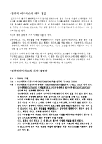 [정보통신,IT컴퓨터바이러스,인터넷윤리] 인터넷윤리-컴퓨터바이러스/인터넷이용등급제-4