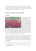 [마케팅] 월드컵과 패션-9
