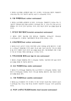 [IMT-2000] IMT-2000의 정의, 목표, 특성, 구성요소와 IMT-2000 관련 정책결정과정, IMT-2000의 동기식, 비동기식 차이 및 향후 IMT-2000의 전망 심층 분석-6