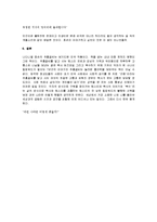 [주홍글씨] 주홍글씨 서평-7